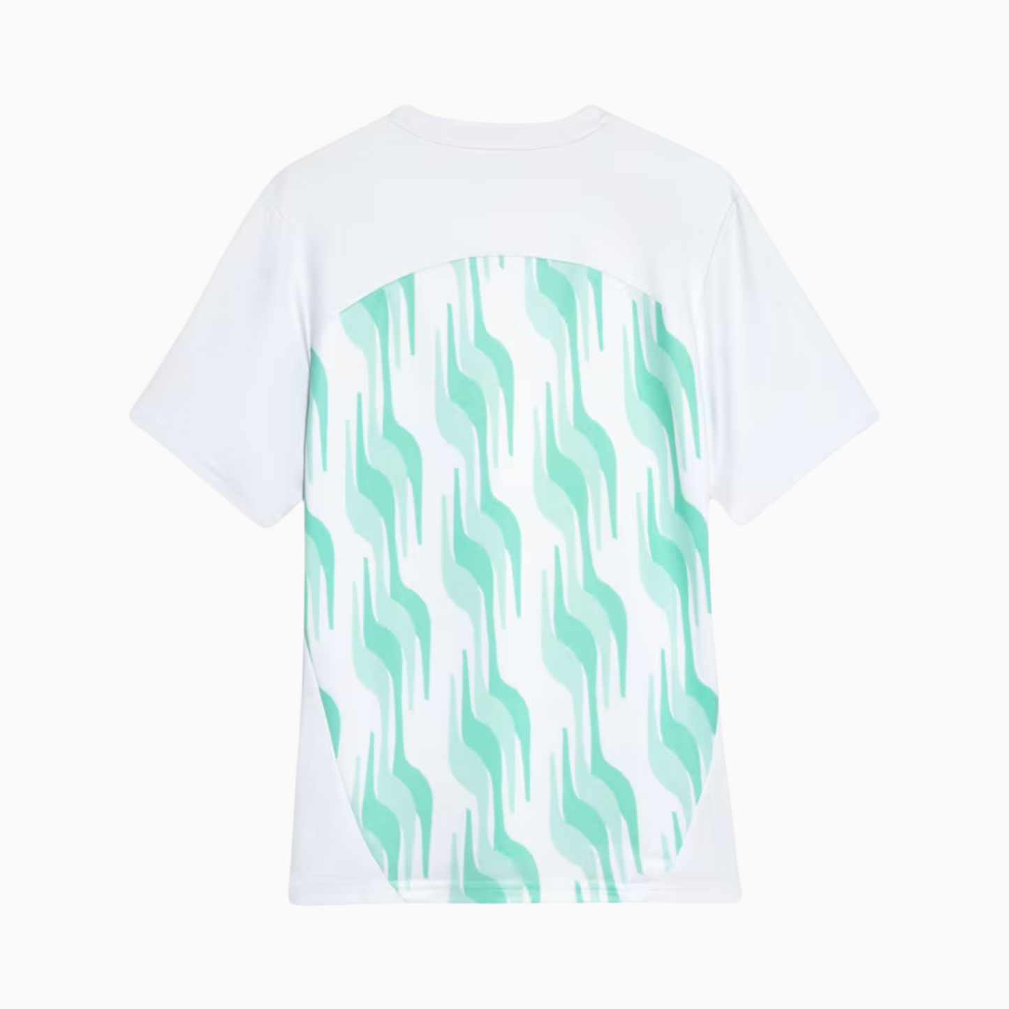 Jersey Palmeiras 2025/26 Pre-Match