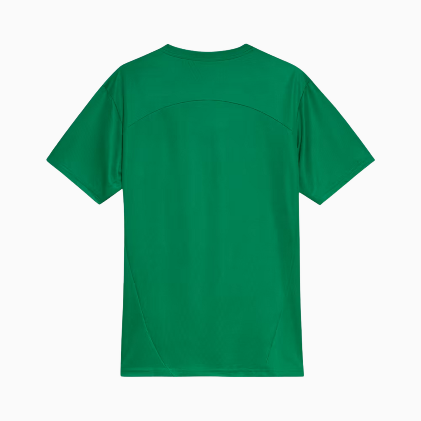 Jersey Palmeiras 2025/26 Training