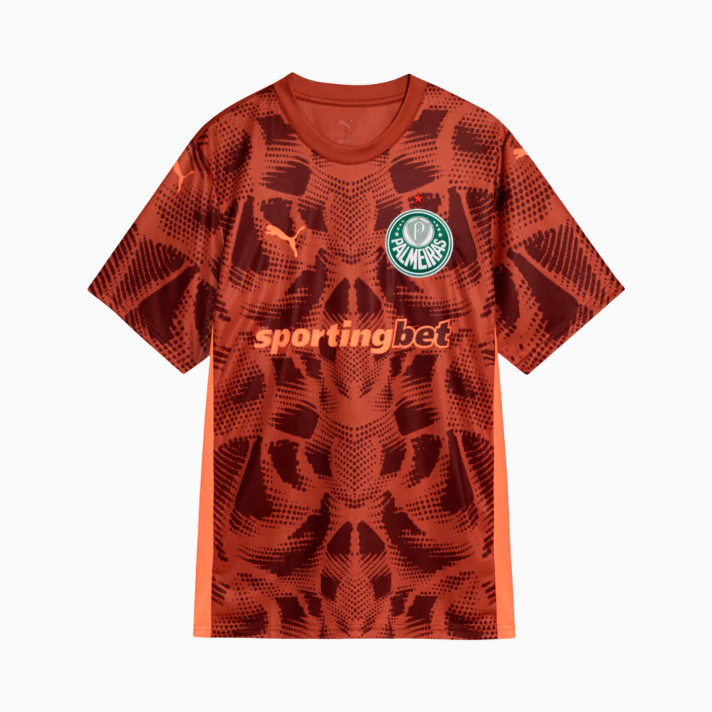 Jersey Palmeiras 2025/26 Goalkeeper II
