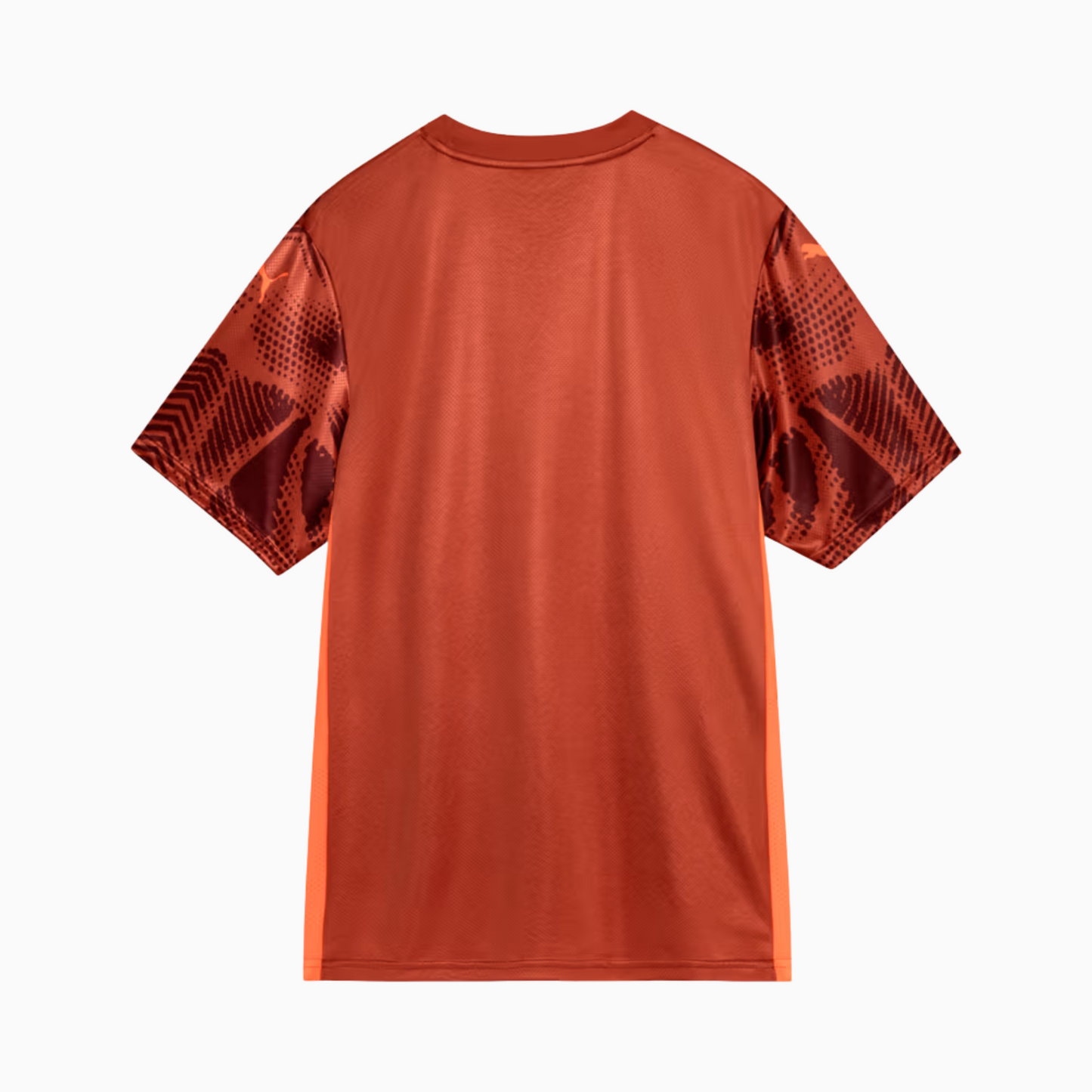 Jersey Palmeiras 2025/26 Goalkeeper II