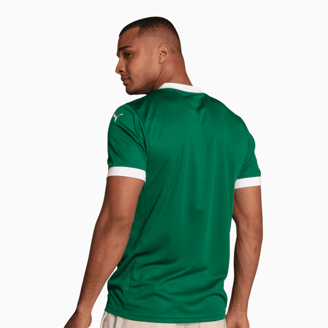 Jersey Palmeiras 2025/26 I Fan