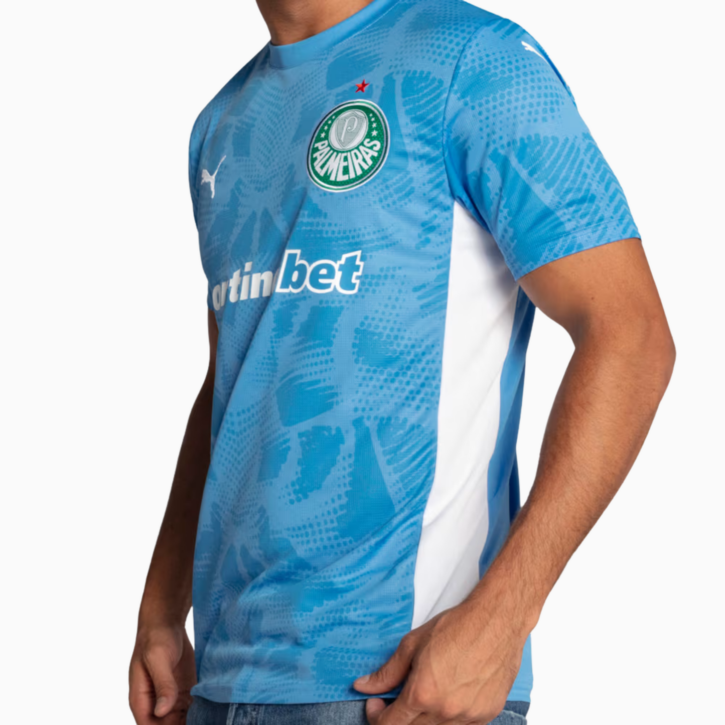 Jersey Goalkeeper Palmeiras 2025/26 Goalkeeper I