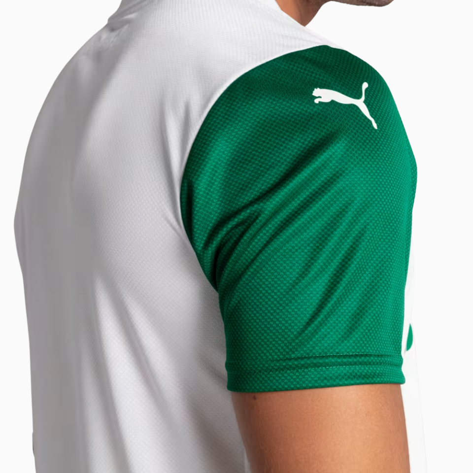 Jersey Palmeiras 2025/26 II Player