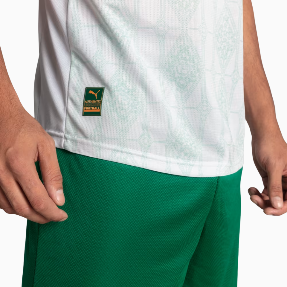Jersey Palmeiras 2025/26 II Player