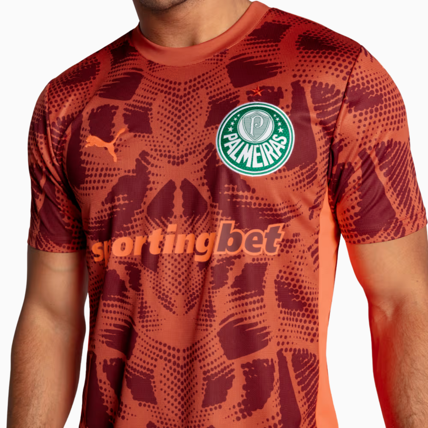 Jersey Palmeiras 2025/26 Goalkeeper II