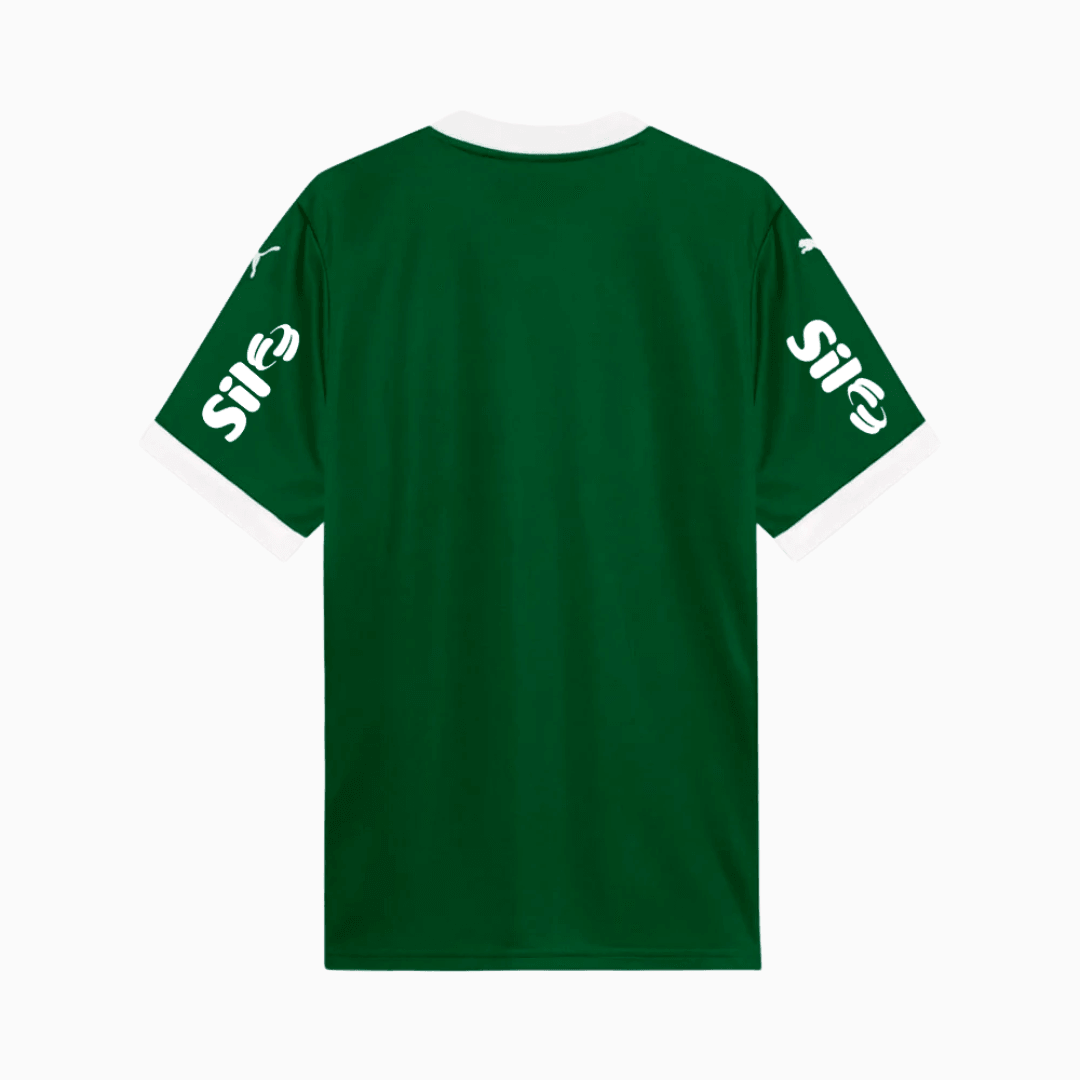 Jersey Palmeiras 2025/26 I Fan With Sponsors
