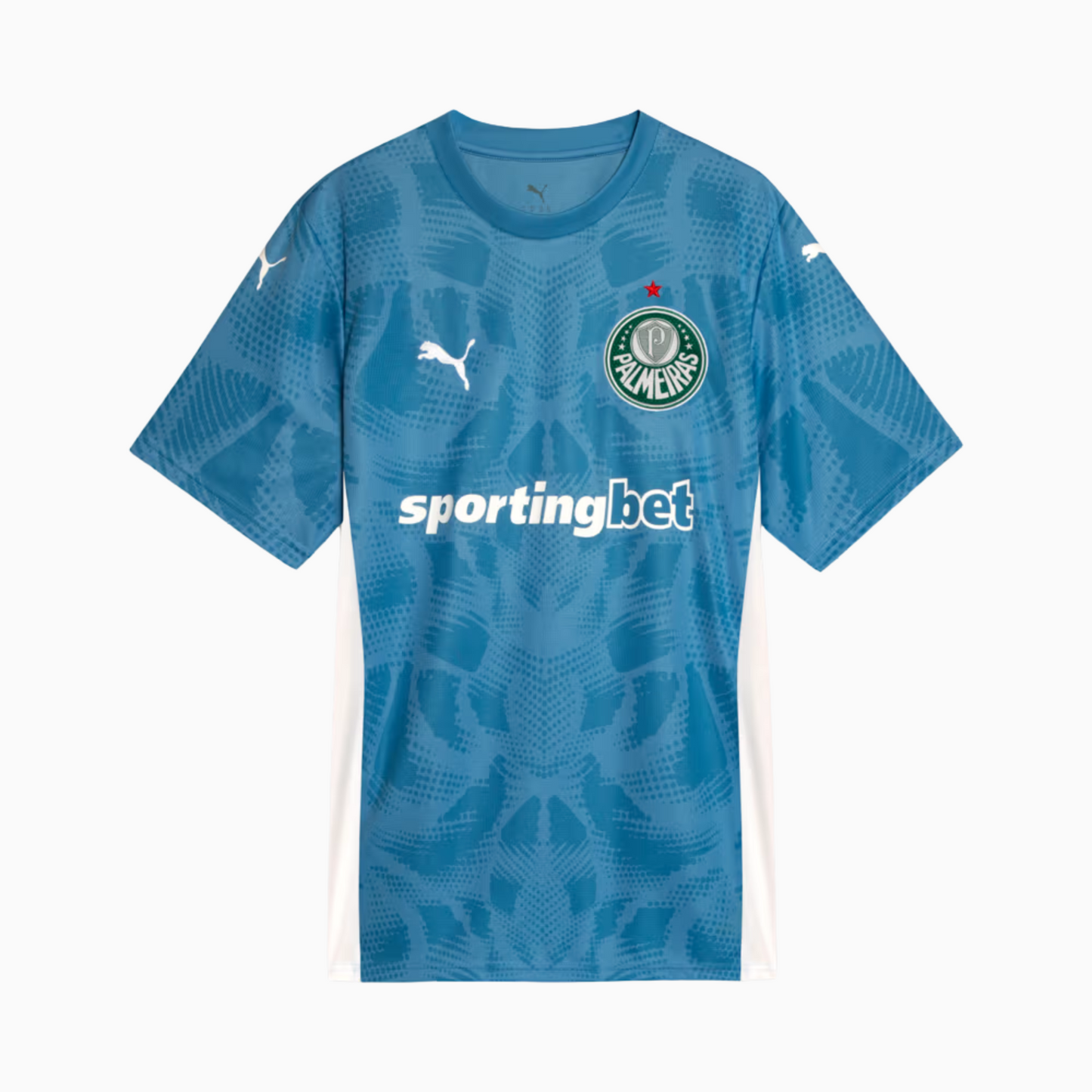 Jersey Goalkeeper Palmeiras 2025/26 Goalkeeper I
