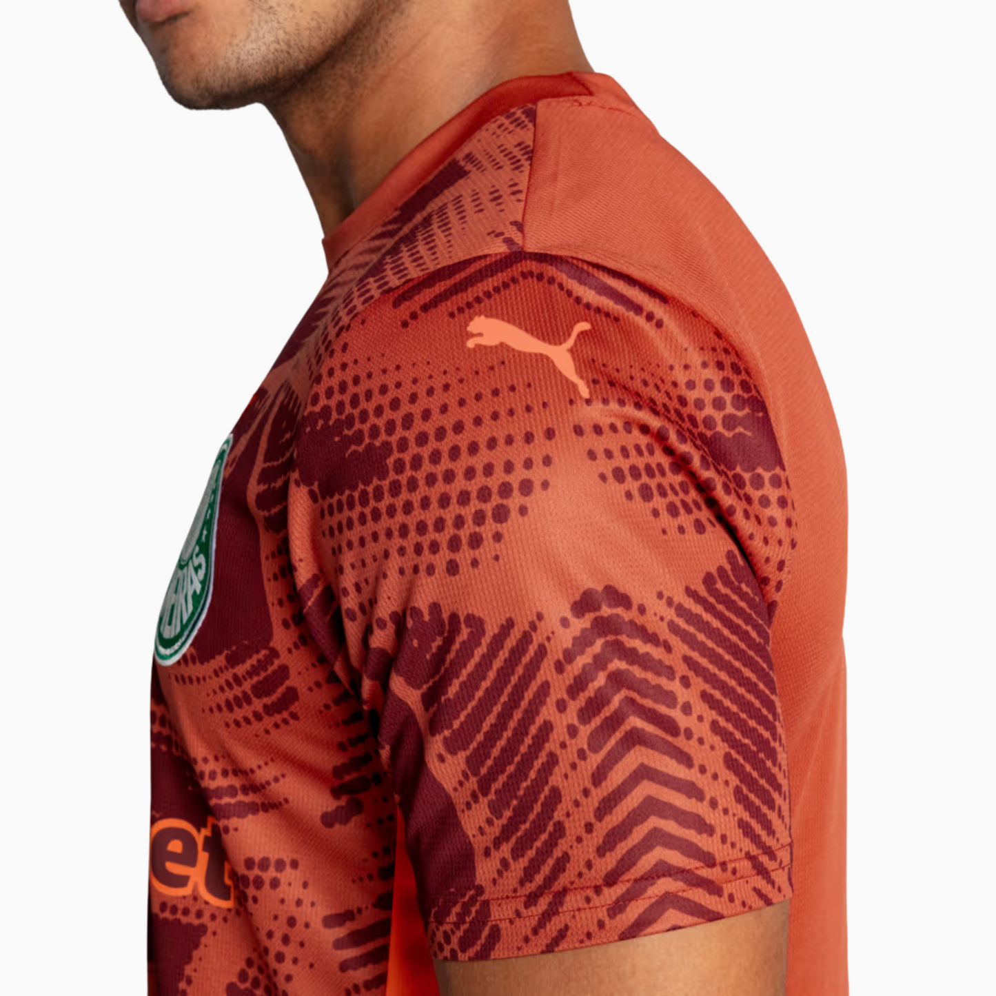 Jersey Palmeiras 2025/26 Goalkeeper II