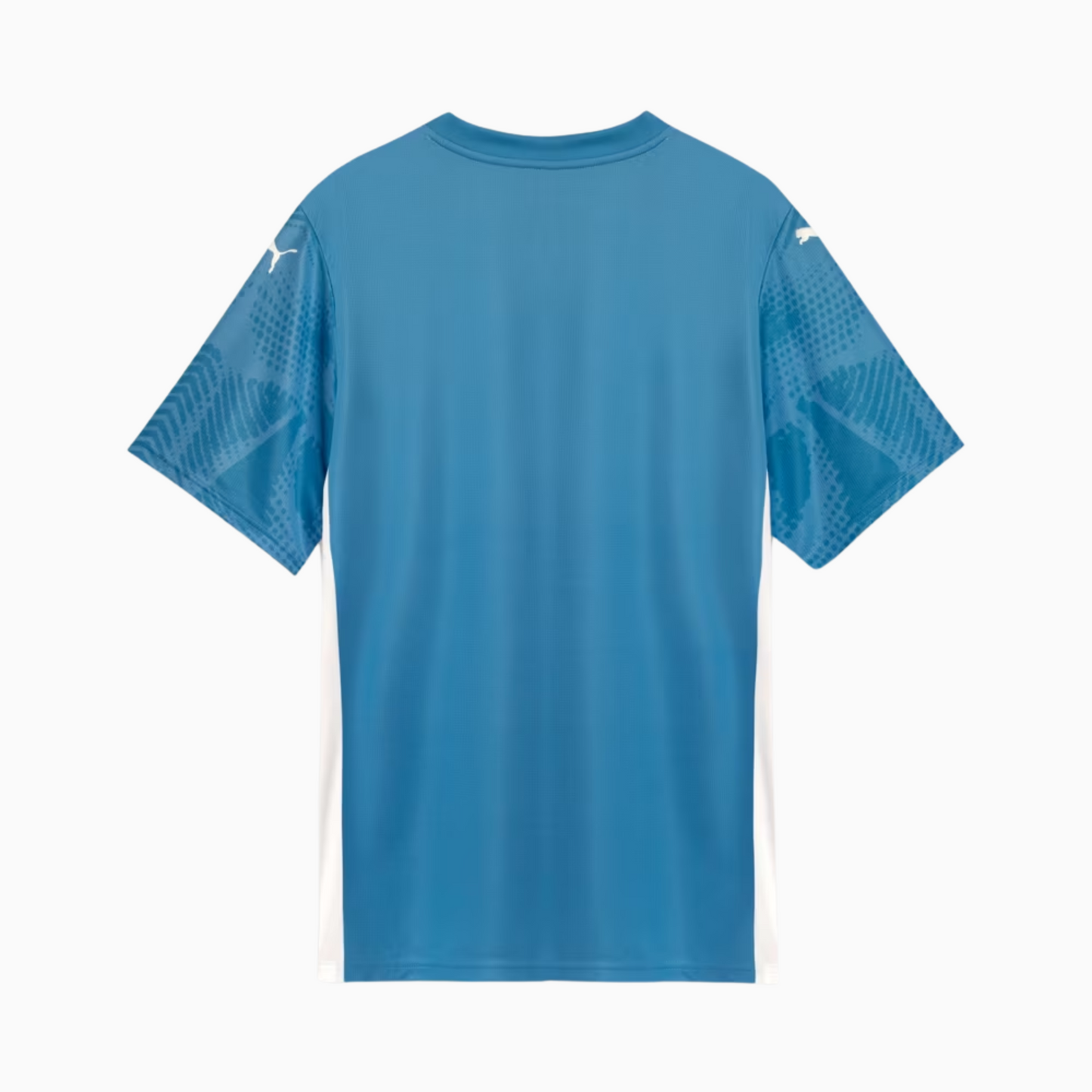 Jersey Goalkeeper Palmeiras 2025/26 Goalkeeper I