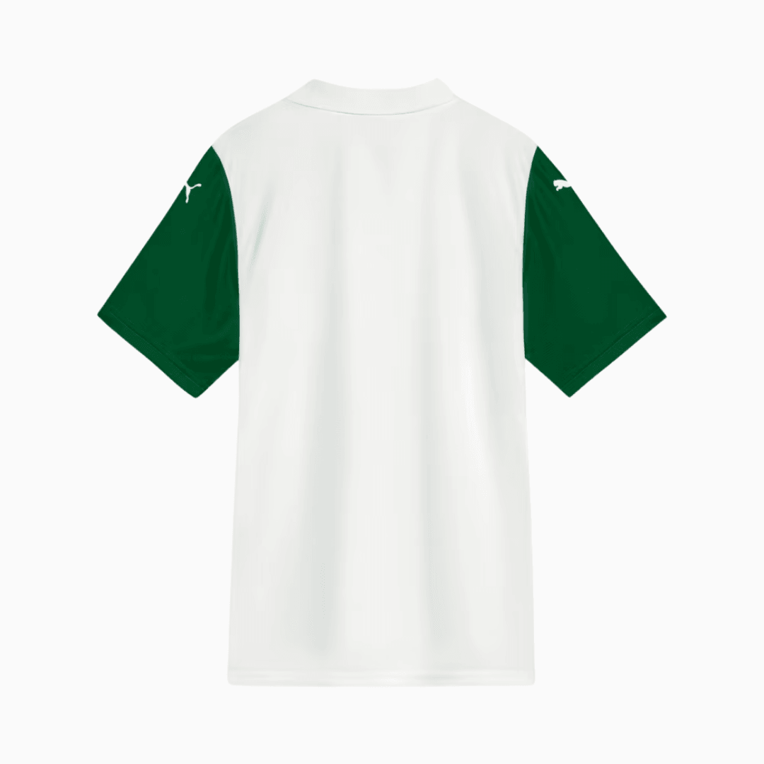 Jersey Palmeiras 2025/26 II Fan