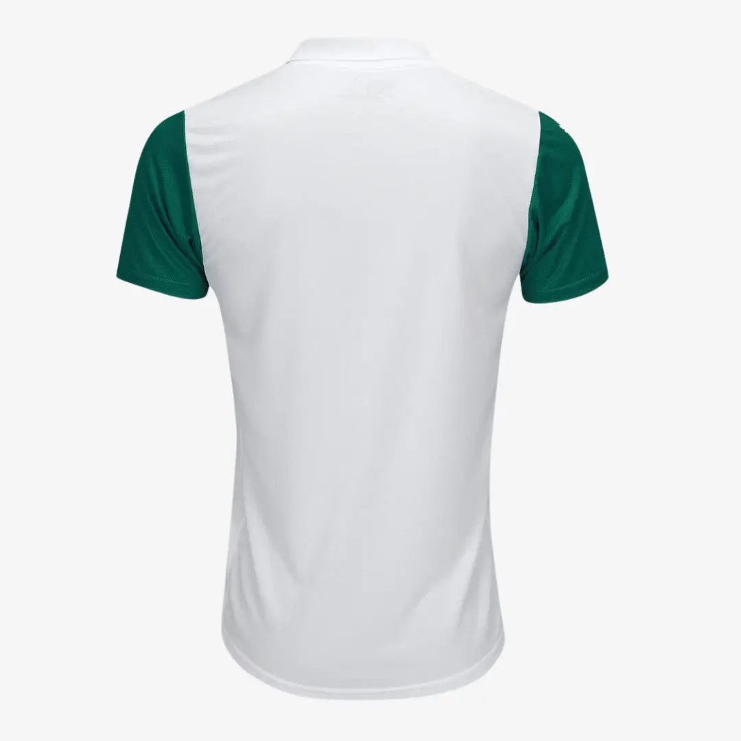 Jersey Palmeiras 2025/26 II Player
