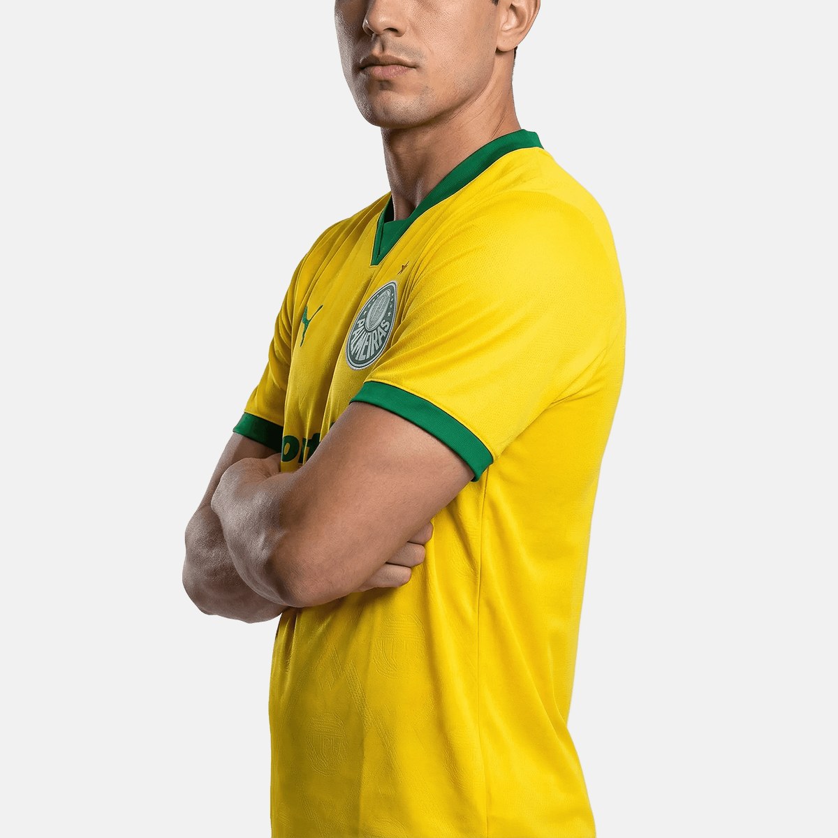 Jersey Palmeiras 2025/26 III Fan