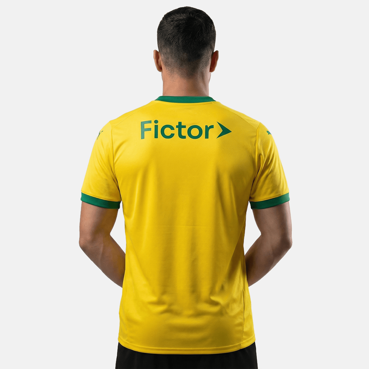 Jersey Palmeiras 2025/26 III Fan