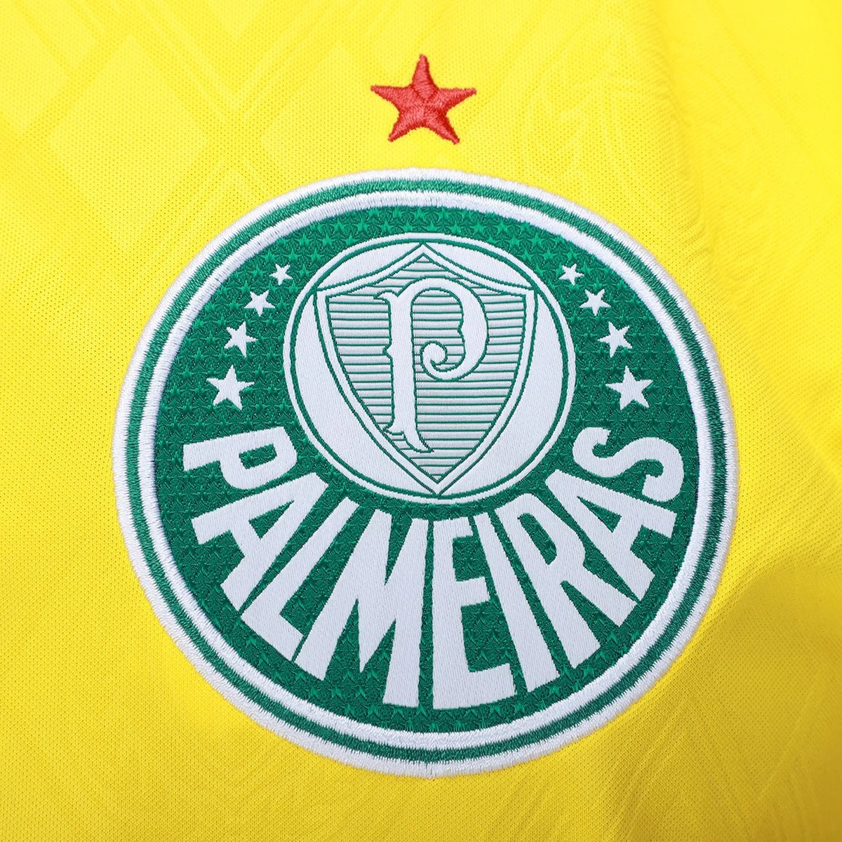 Jersey Palmeiras 2025/26 III Fan
