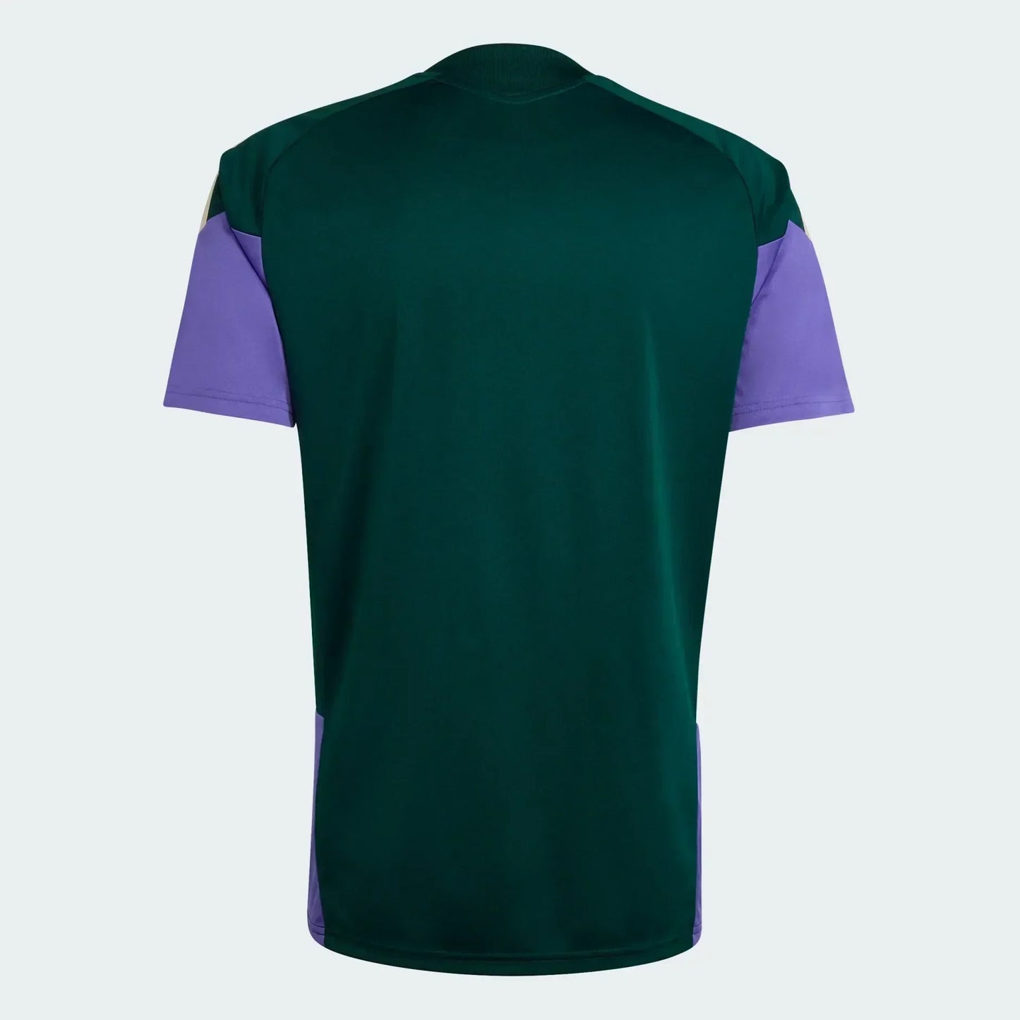Jersey Saudi Arabia 2026 Training World Cup