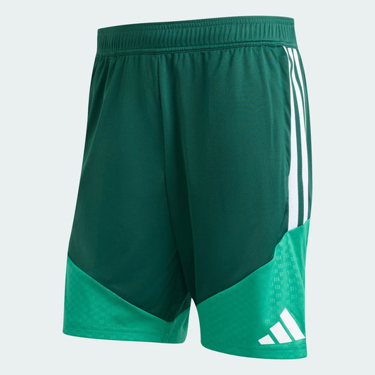 Shorts Algeria 2026 I Training World Cup